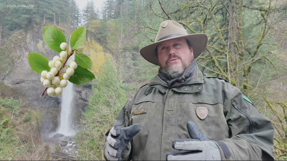 Oregon park rangers kick off 2026 with ‘First Day Hikes’ | kgw.com