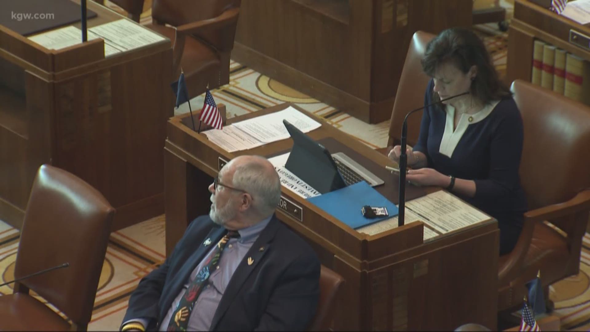 Penny Okamoto, executive director for Ceasefire Oregon says she’s frustrated that two significant bills, one concerning gun control and the other concerning vaccine exemptions, were dropped in order to pass an education funding bill that would raise $2-billion for Oregon schools. Okamoto said it didn’t have to be an either/or situation where two bills had to be axed for one to pass.