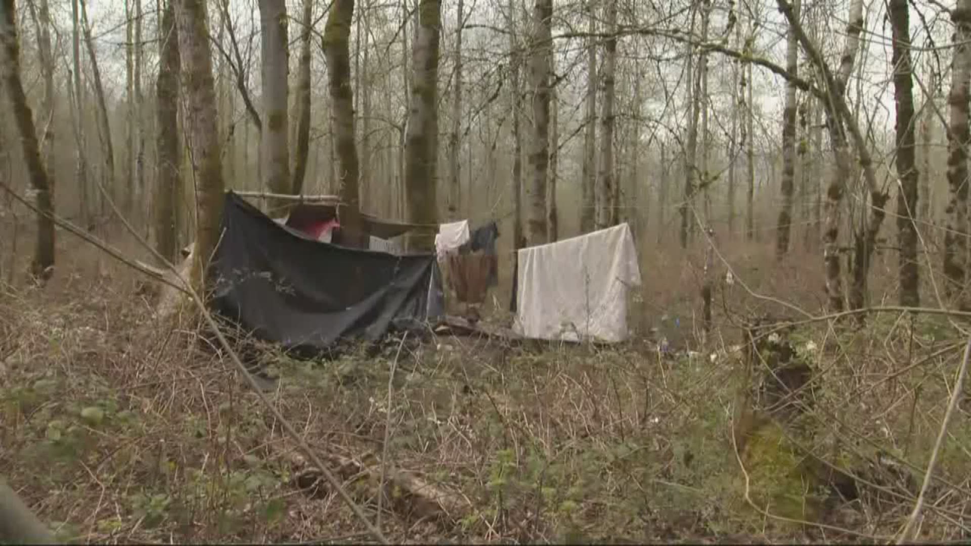 Concerns about homeless camping along the Sandy River.