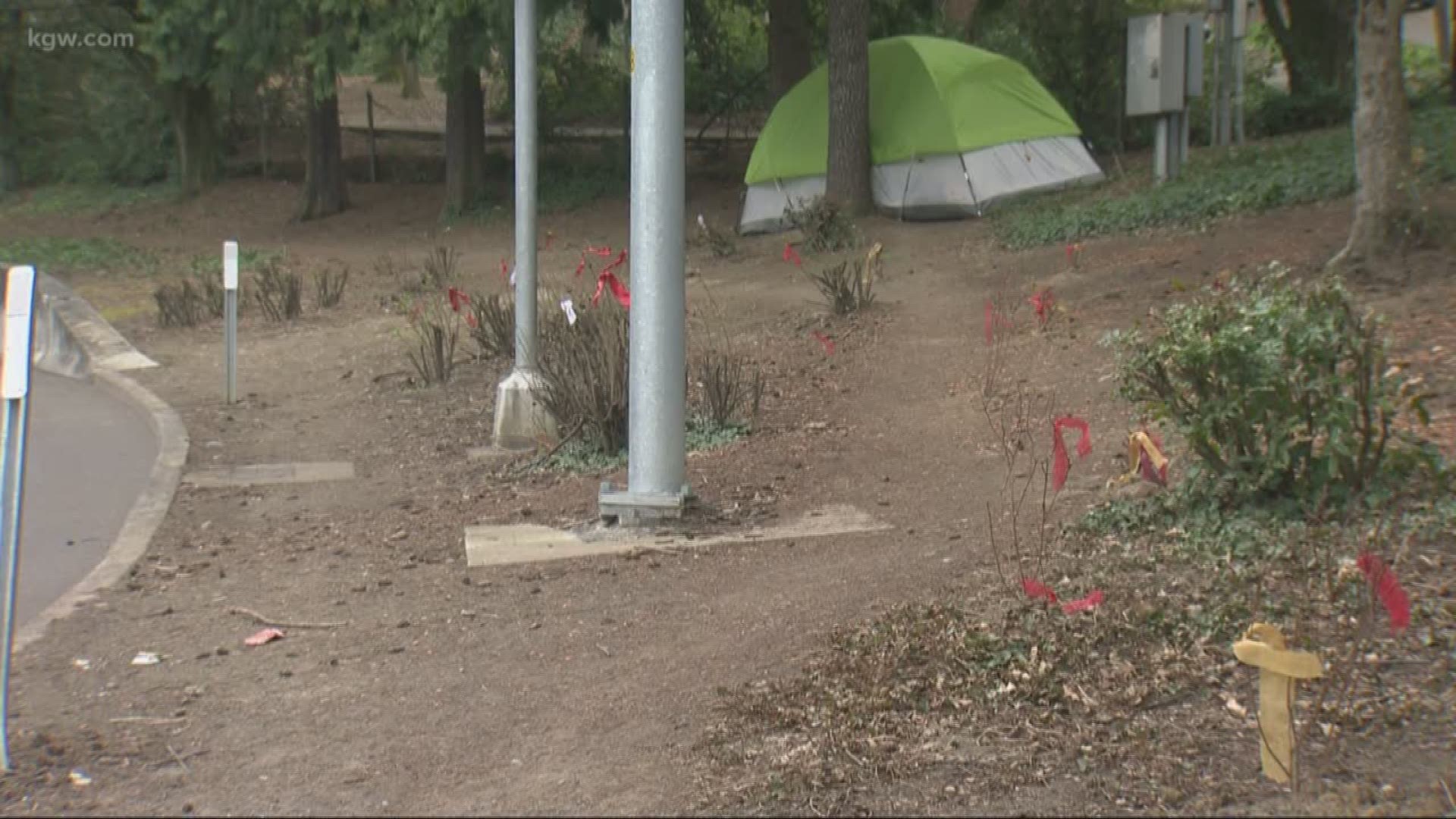 Community members in SW Portland plant roses to deter homeless campers.