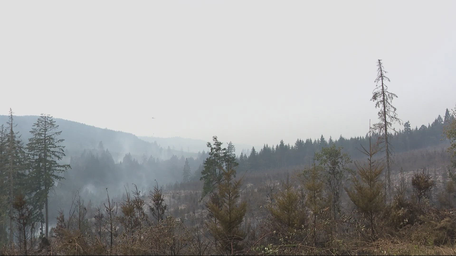 The fire has been held at 280 acres and is completely lined, the fire officials said. Residents of Cherry Grove are being allowed to return home.