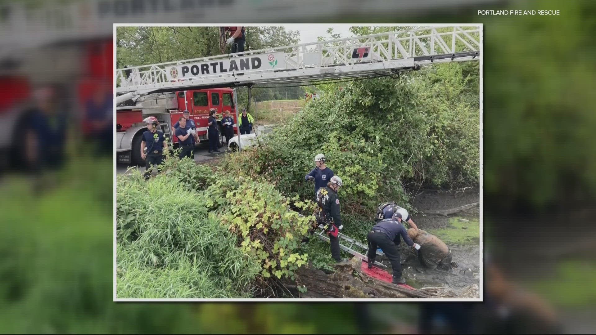 The suspect, Christopher Lee Pray, 39, escaped custody last Wednesday. He was apprehended Friday when he was found stuck in mud in north Portland.