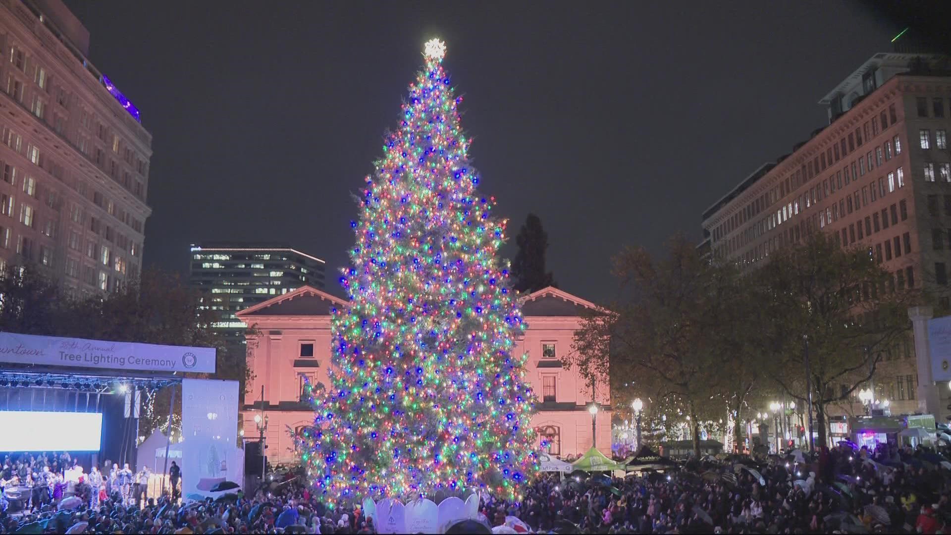 The 9,500 lights on the 75-foot Doug Fir in the heart of the city's downtown were switched on in a festive party the day after Thanksgiving.