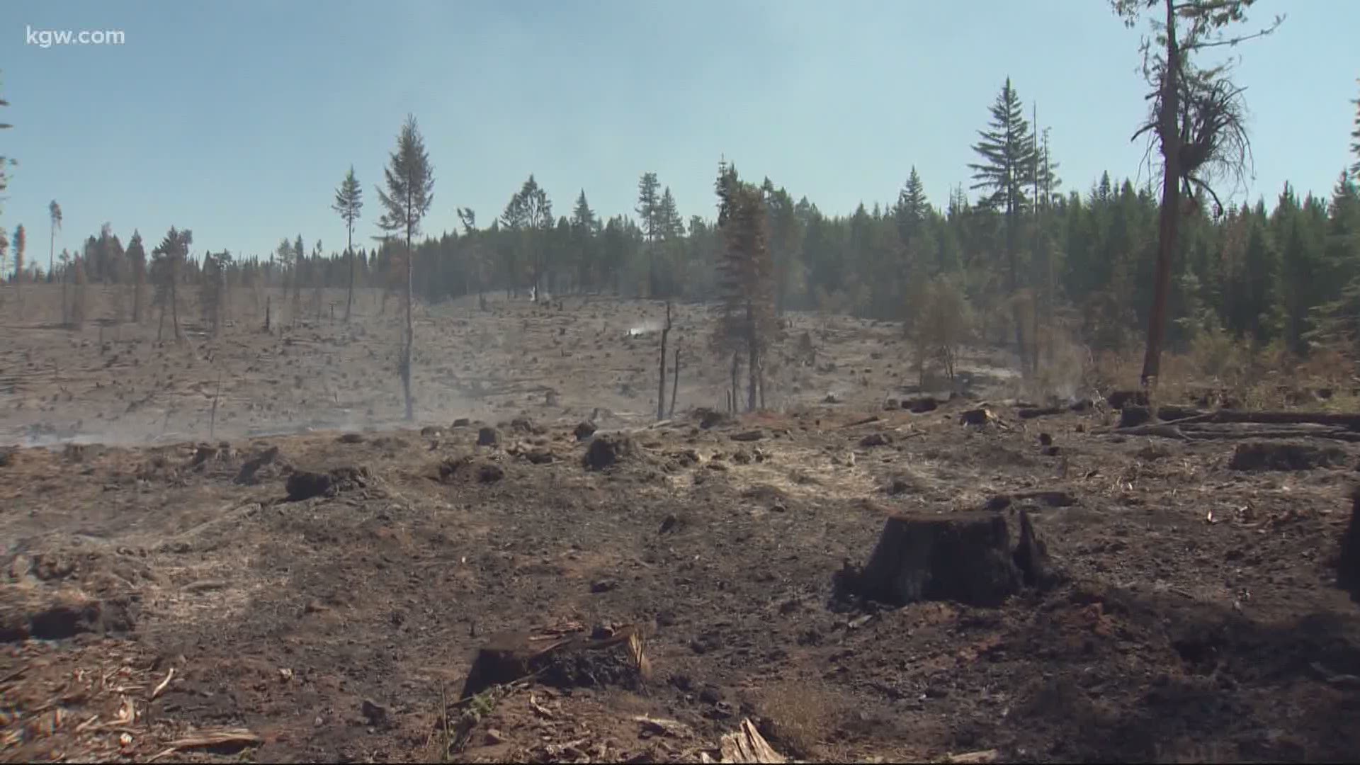 The Fir Mountain fire is burning about 313 acres near Hood River. Devon Haskins has the latest.