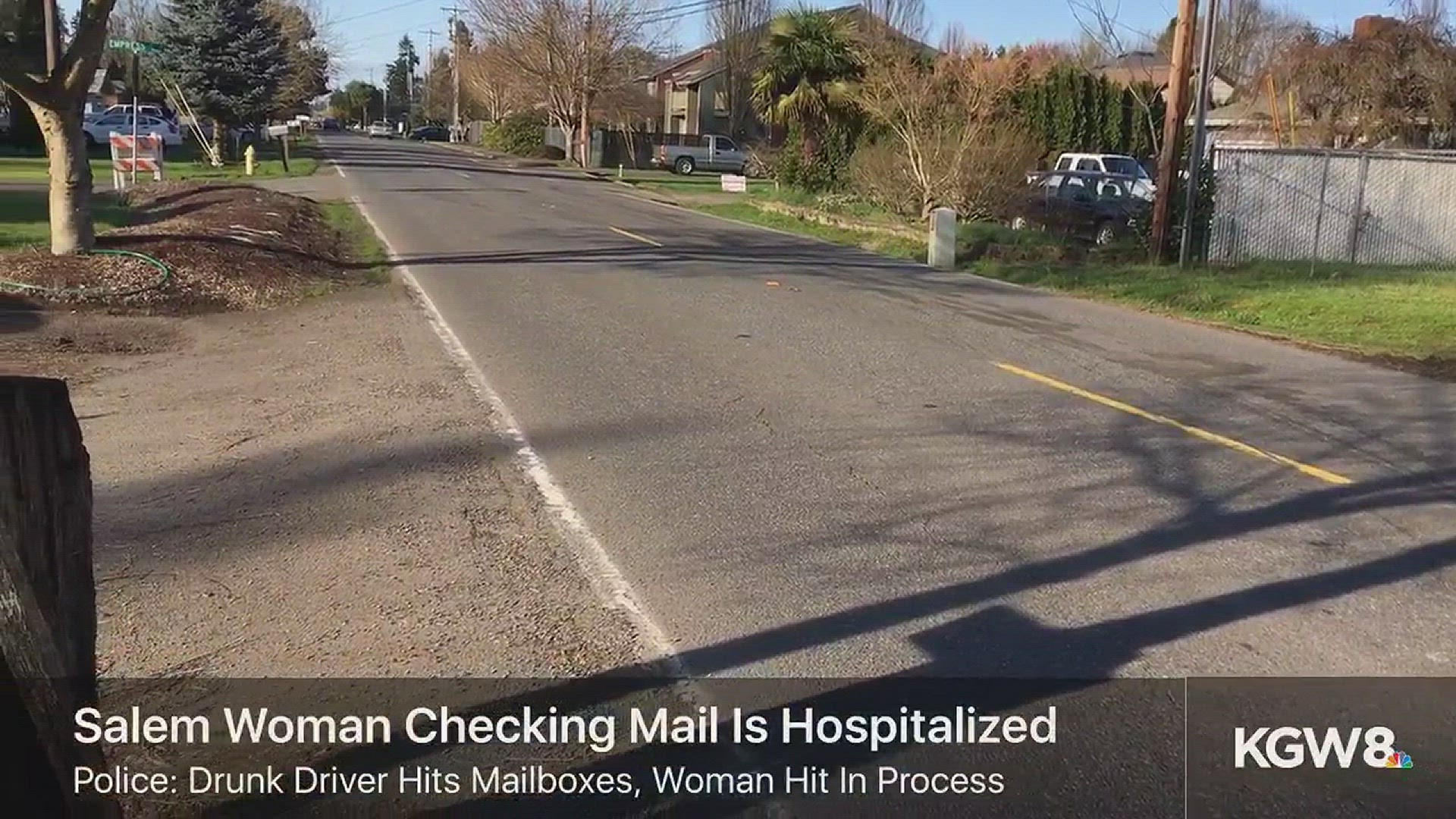 Salem woman checking mail hit by car