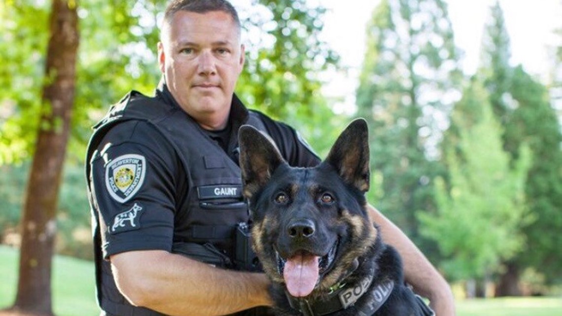 K-9 tracks down DUII suspect who fled after multiple crashes | kgw.com