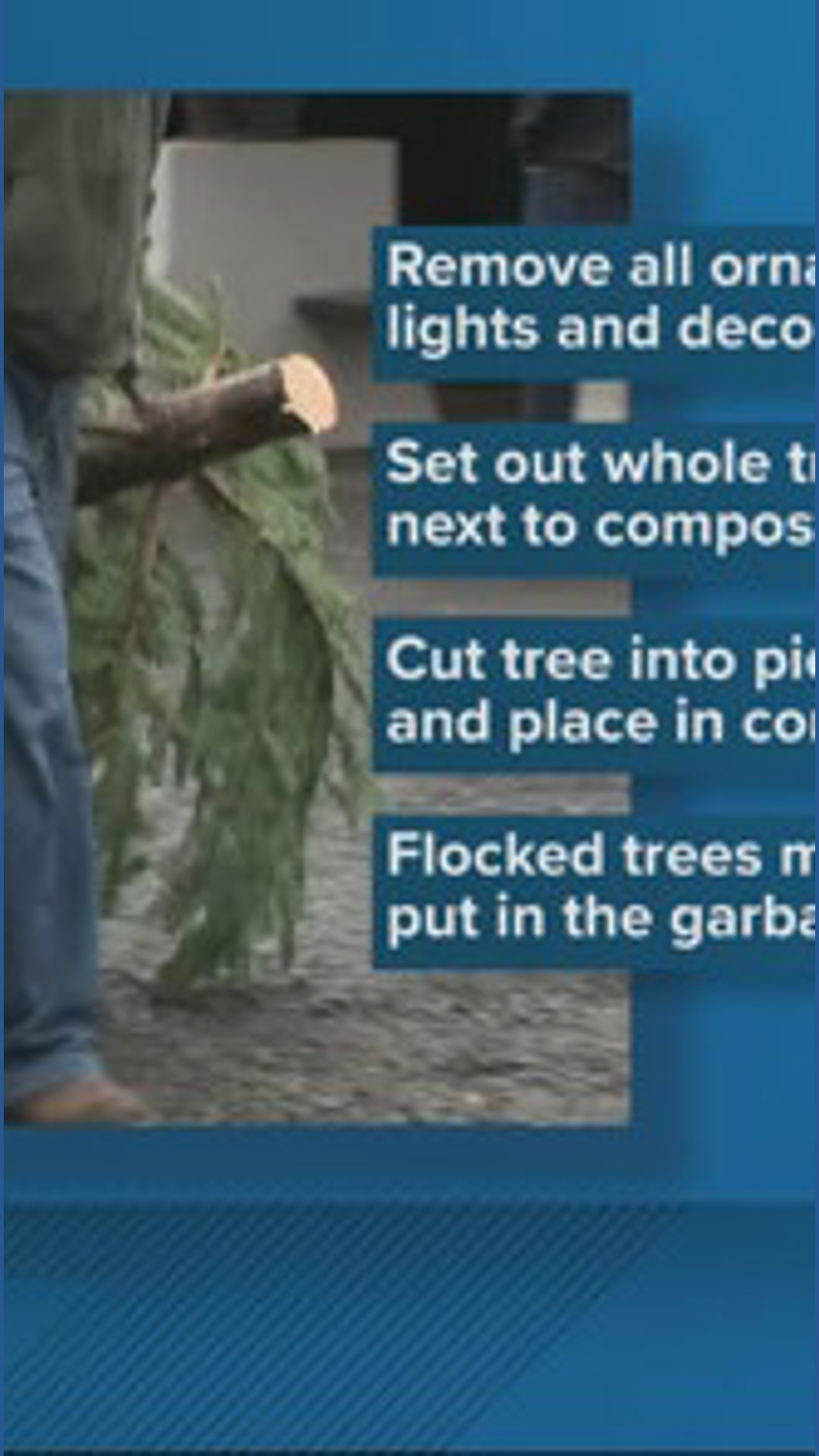 How to recycle your Christmas tree in Portland after the holidays | kgw.com