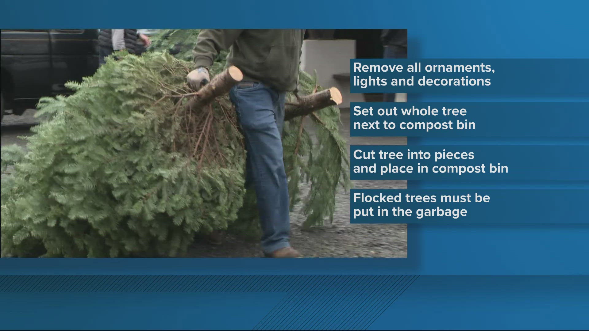 How to recycle your Christmas tree in Portland after the holidays | kgw.com