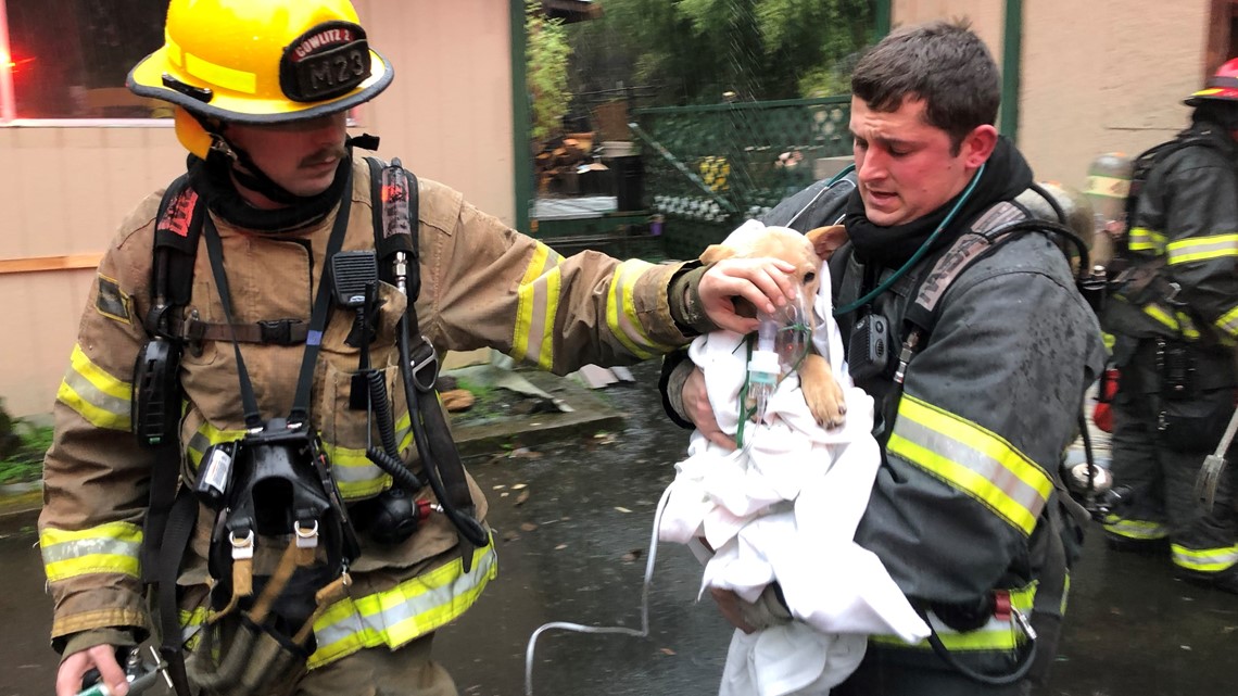 Washington man comes home to discover house on fire, runs inside and ...