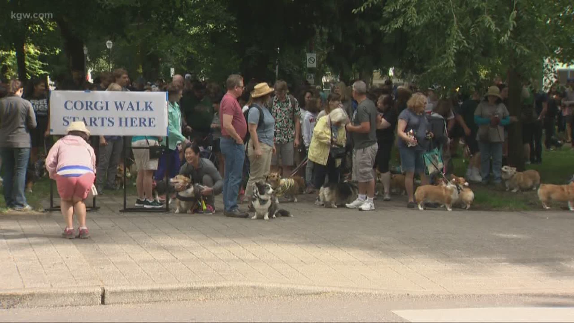 As dueling protests took place in Portland, others enjoyed fun community events.