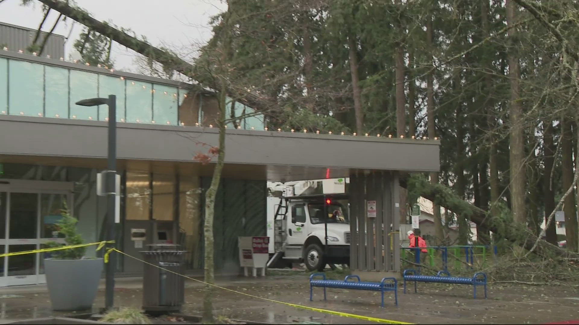 Dozens of trees down across Portland metro area following windstorm ...