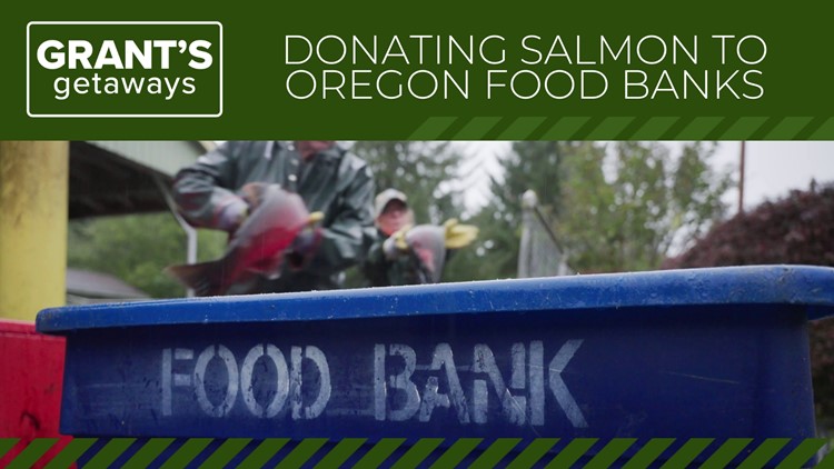 Oregon fishery donates returning salmon to food banks