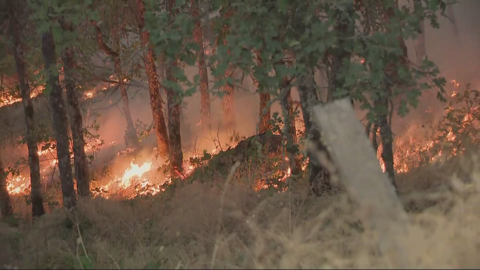 The Microwave Tower Fire burning near Mosier is being fueled by dry conditions and strong winds.