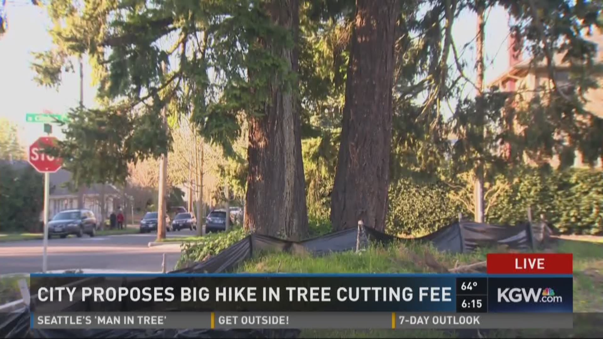 Builders say tree cutting fee hike won't work