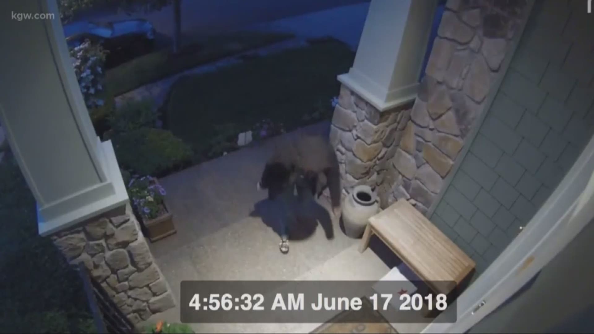 Happy Valley package theft
