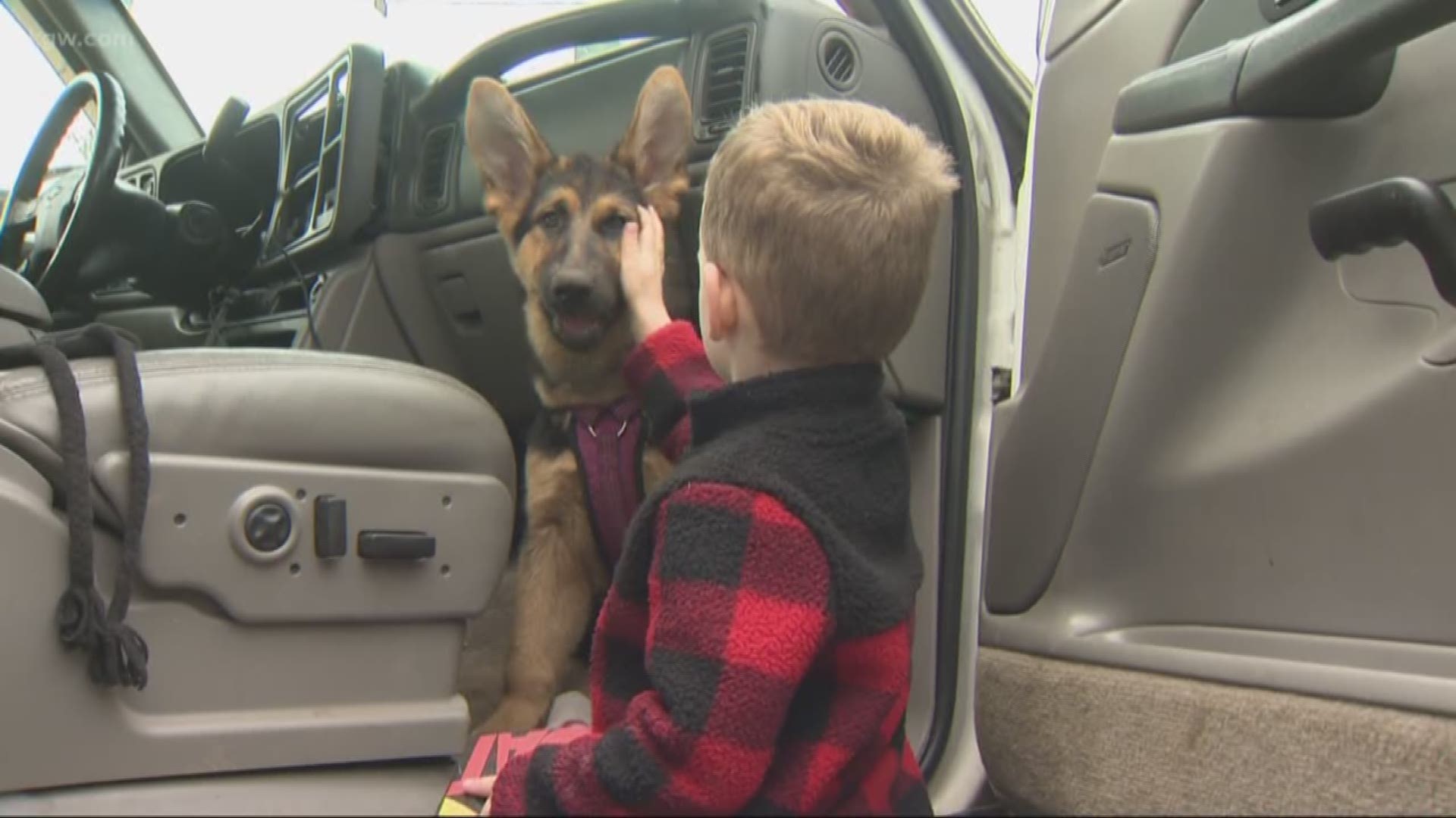 An Oregon family believes their legwork to find who stole their dog put pressure on the thief, or thieves, to return it.