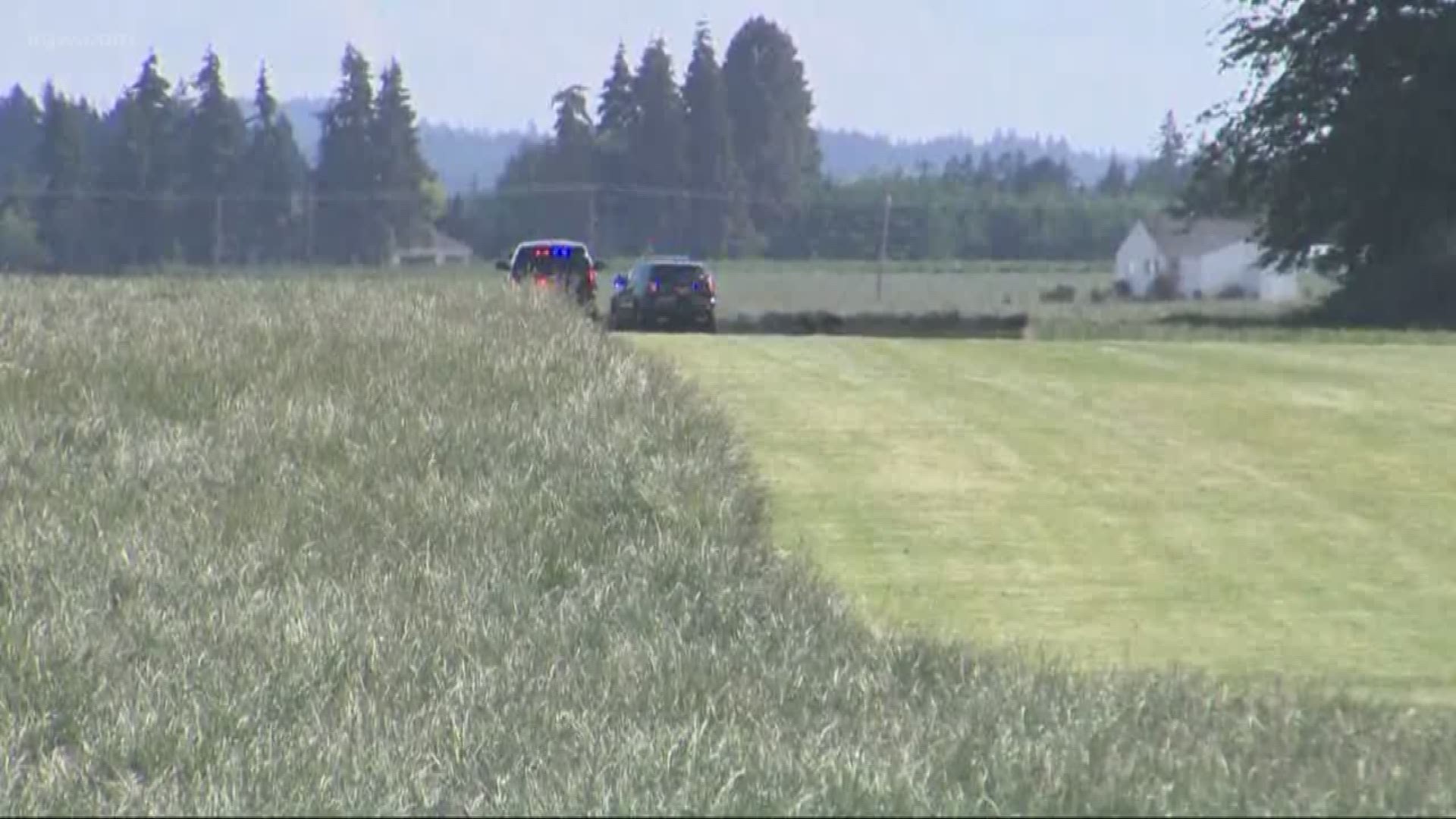 A pilot died in a small plane crash near Salem.