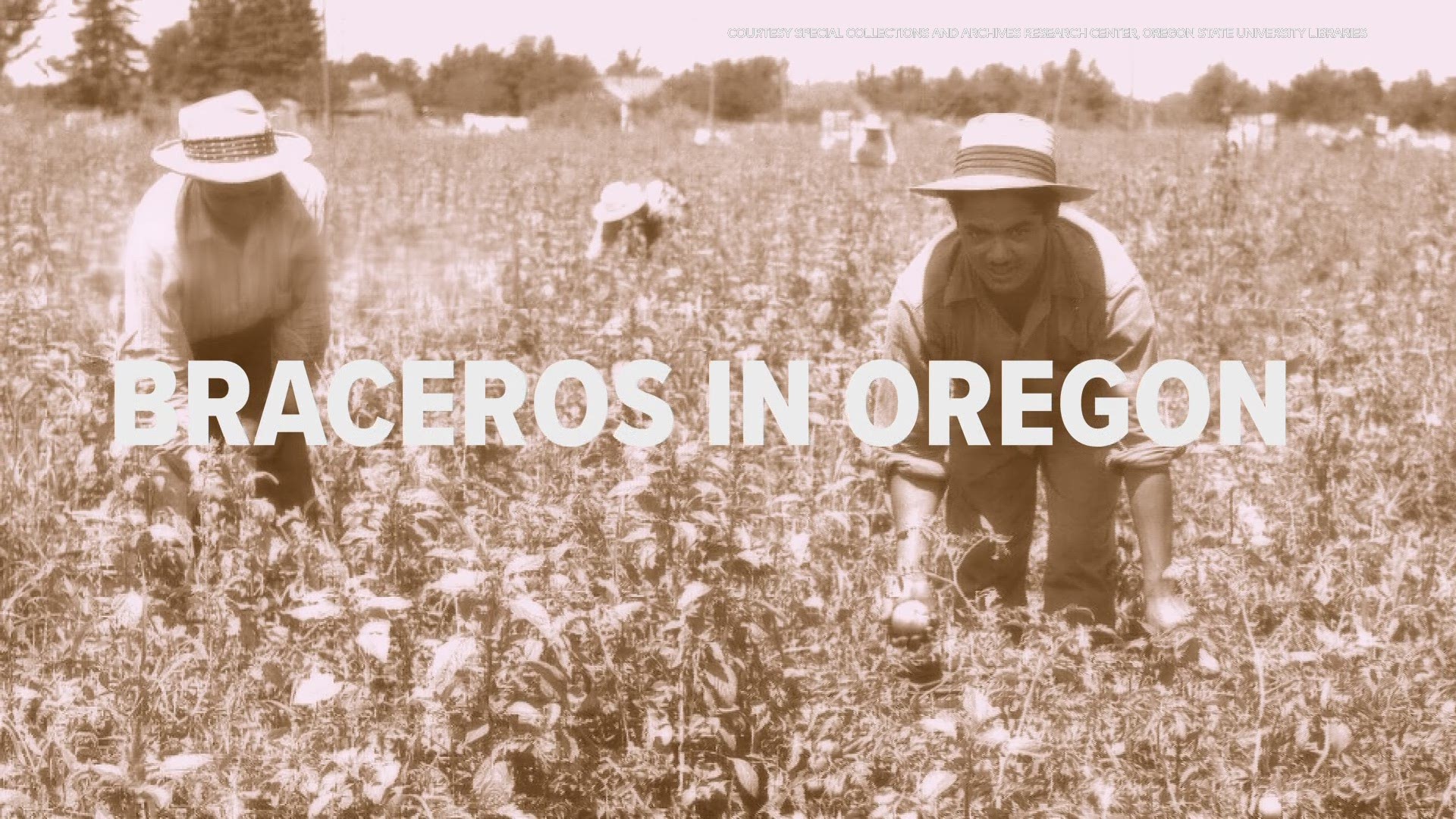 In 1942, a joint agreement between the U.S. and Mexico brought thousands of Mexican laborers to work on farms around the United States. They were known as braceros.
