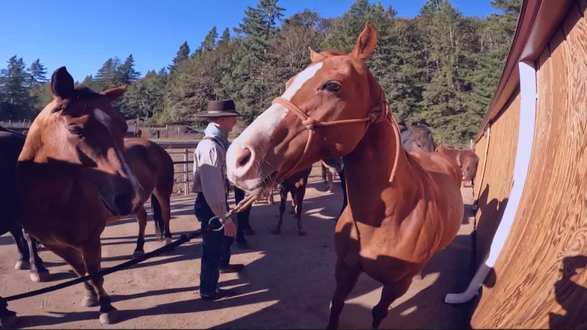 Scouts of all ages come to the Butte Creek Horse Camp to ride and learn about themselves.