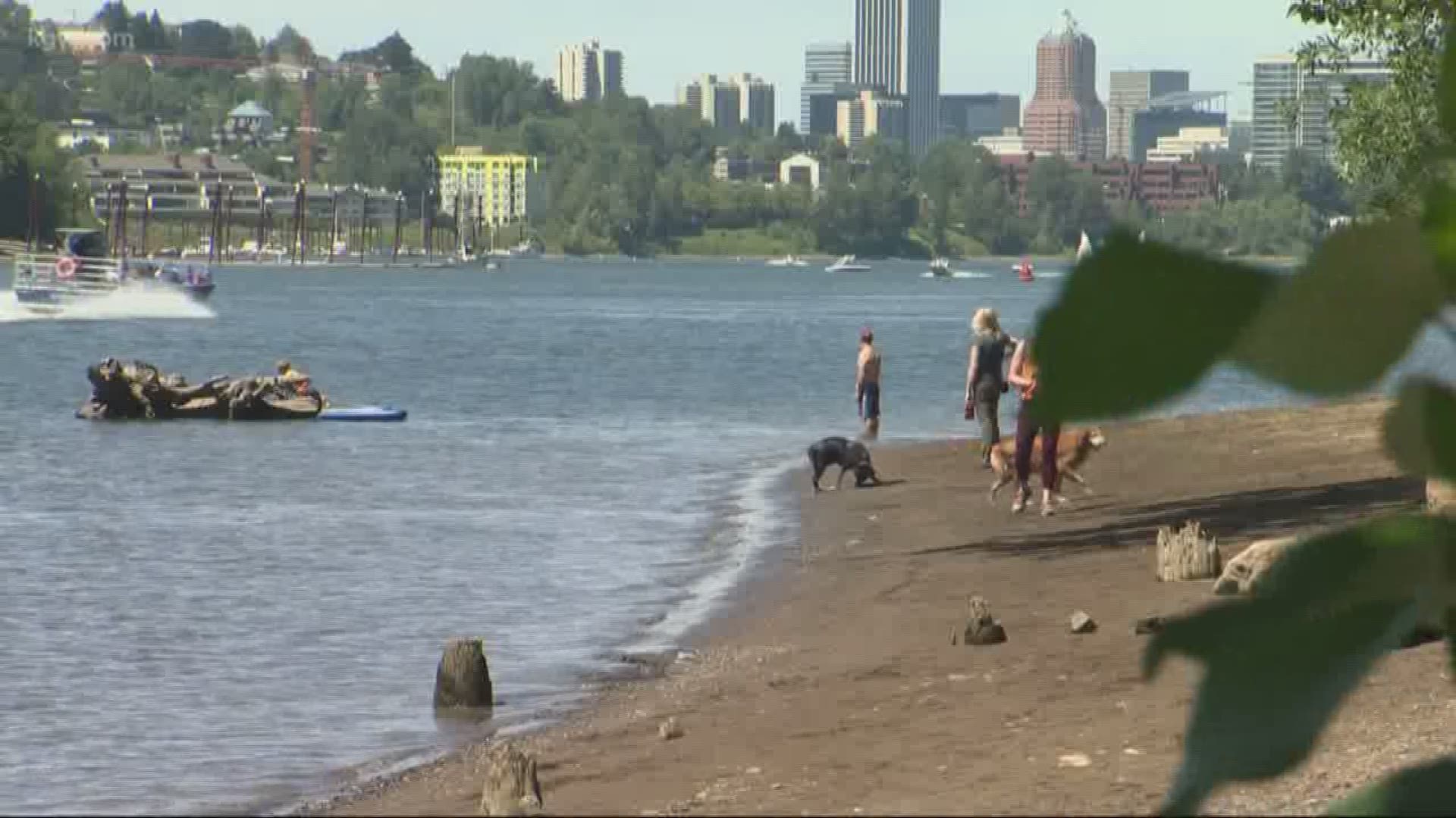 The Willamette River is ranked the 5th most endangered river.