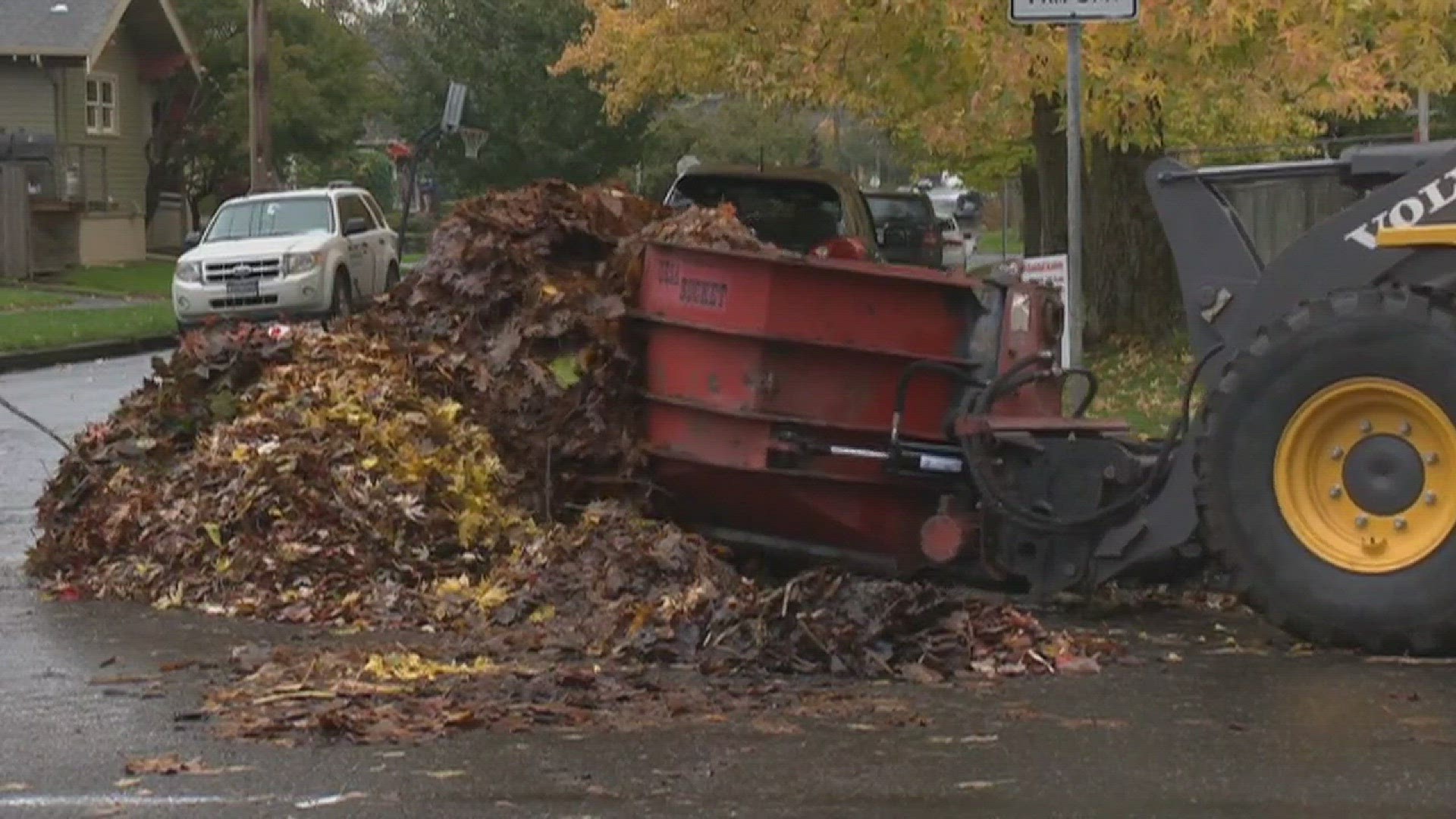 City of Portland is working hard to get all the fall  leaves picked up.