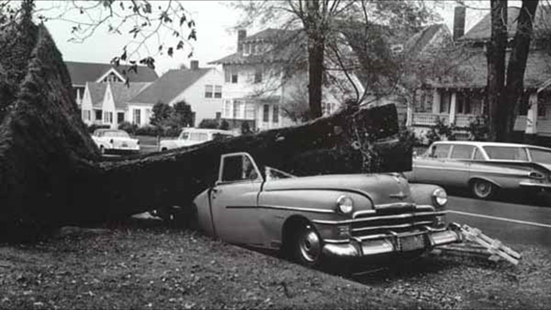 50th anniversary of Columbus Day storm | kgw.com