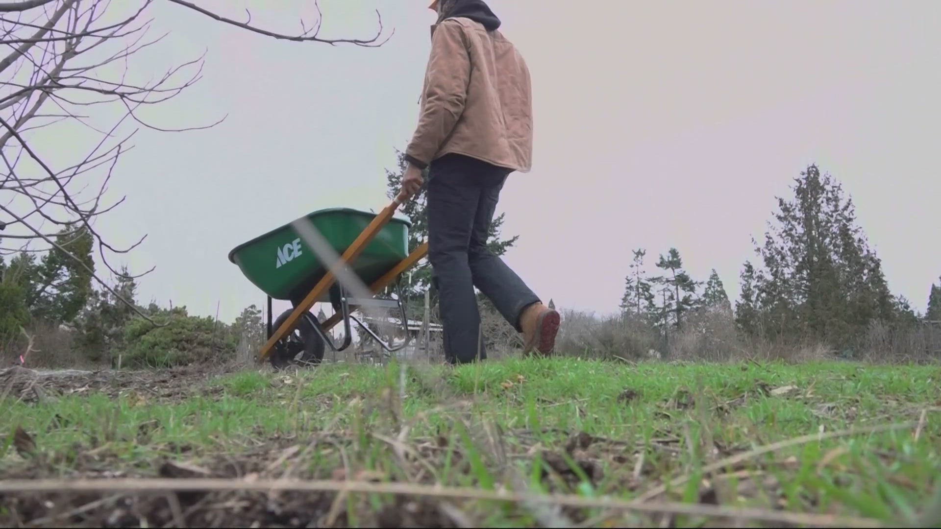 Malcom Hoover helped create the Black Futures Farm, which donates the fresh produce to pantries and local schools.