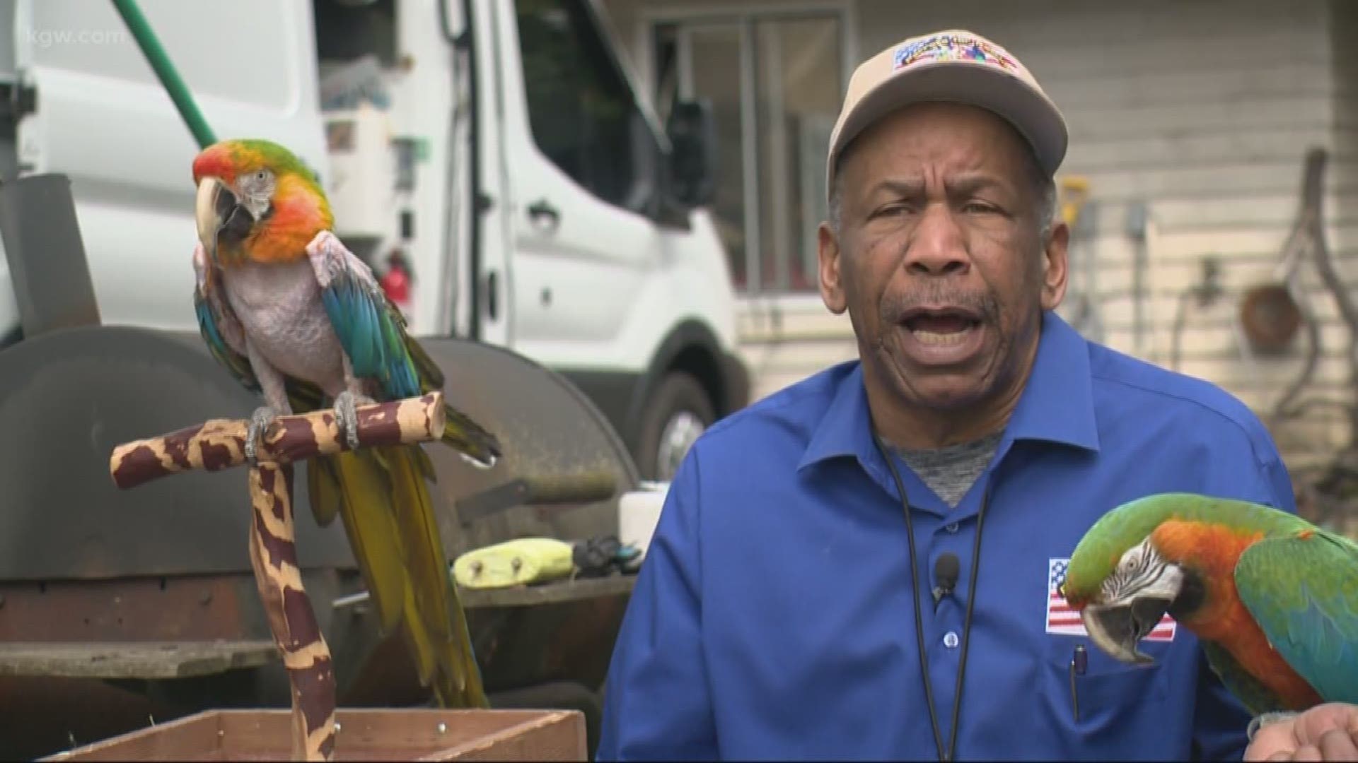 A Washington veteran is helping other vets by adopting out birds.