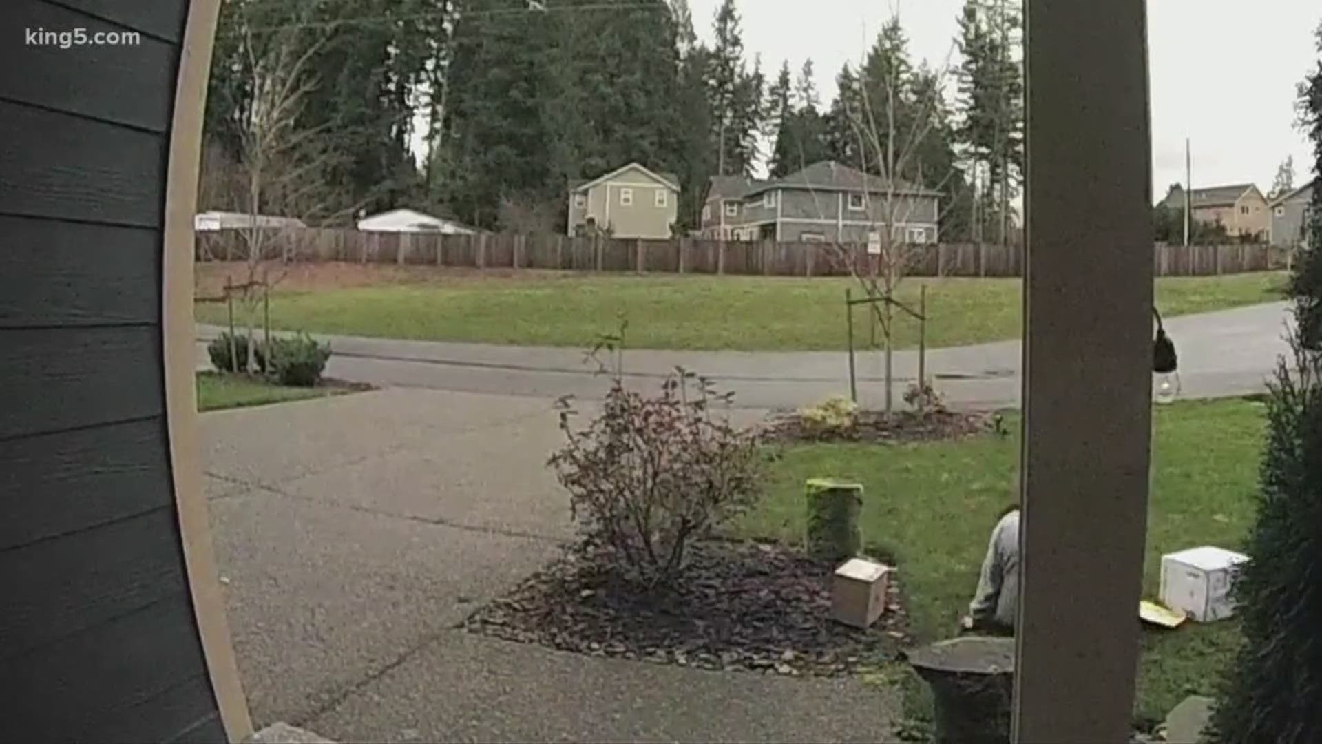 Package thief injured while stealing from Bothell porch. KING 5's Amy Moreno reports.