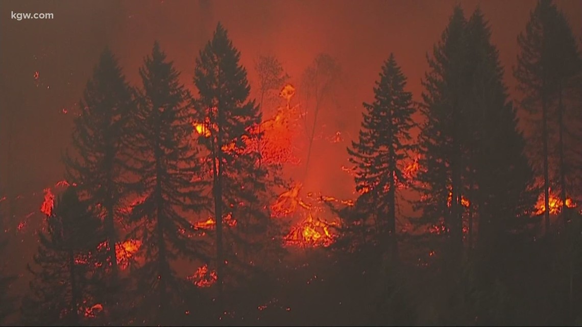 Wildfires contribute to pollution in Oregon, study says - Vimarsana News
