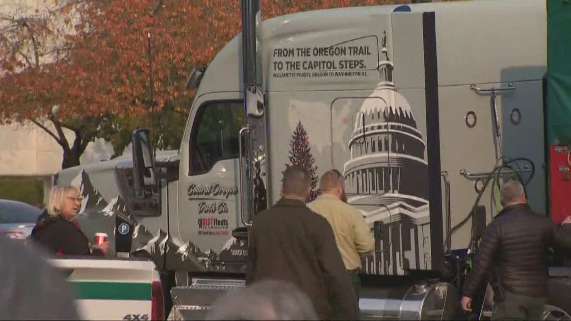 An 80-foot noble fir cut down in the Willamette National Forest is on a rock-star worthy tour to the nation's capital. The tree made a stop in Salem Tuesday.