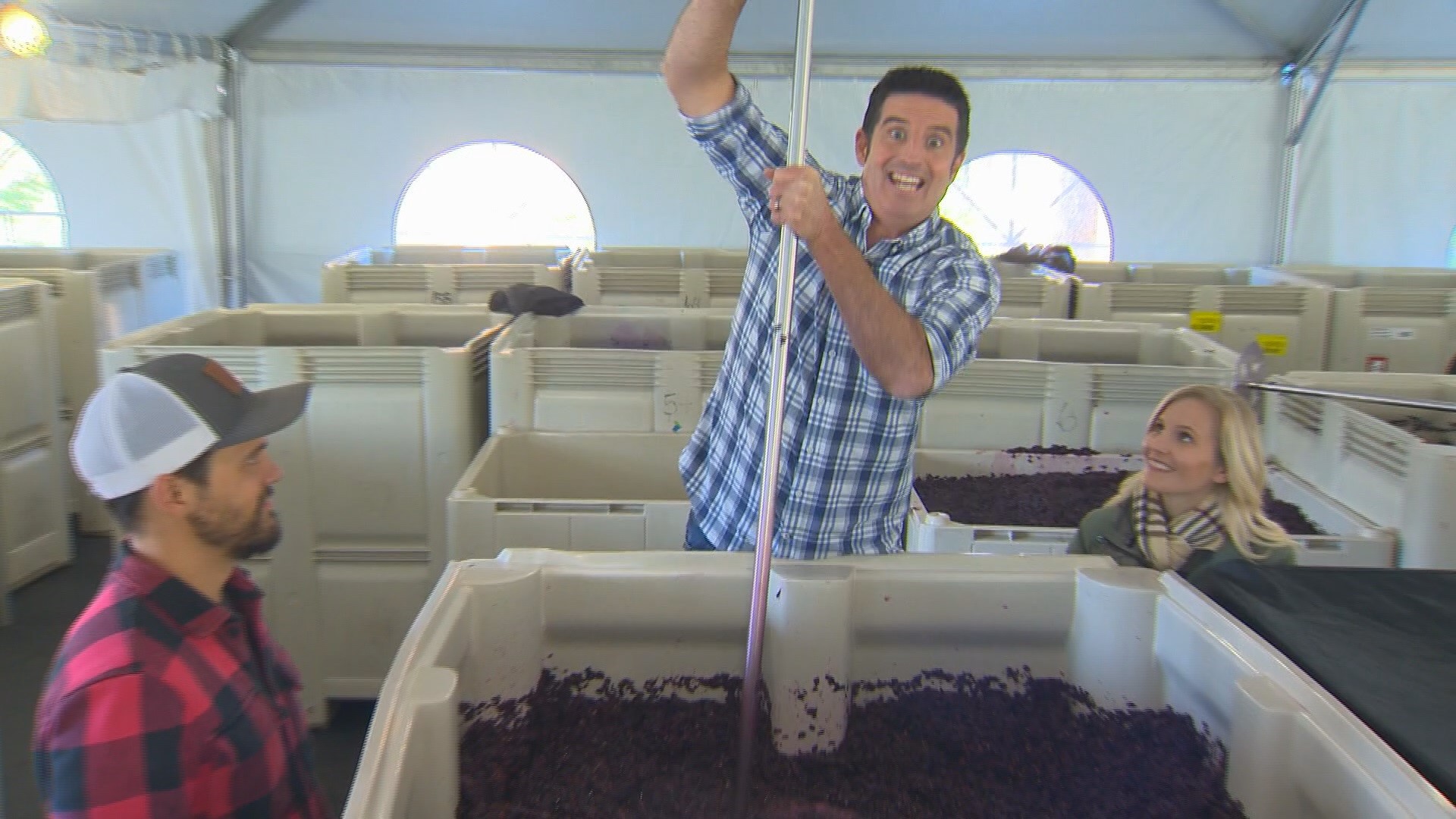 Drew Carney visits Oregon Wine Country and learns the vine to bottle wine making process.