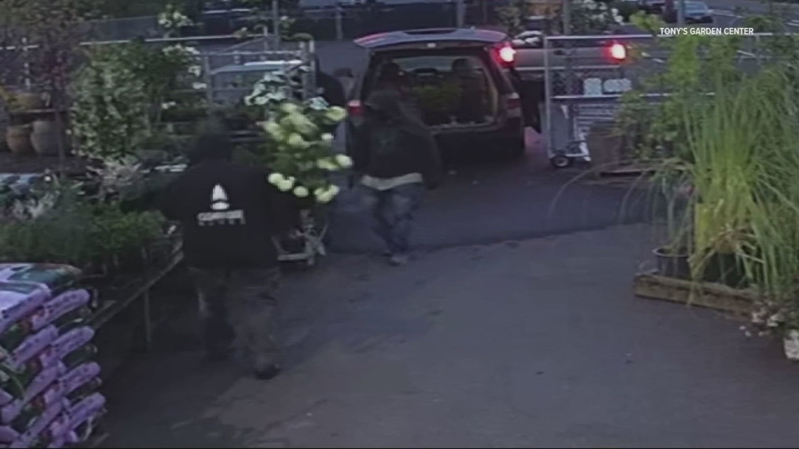 Thieves struck Tony's Garden Center in Portland, stealing $2,000 of plants. Owner Tony Karam seeks public help after...