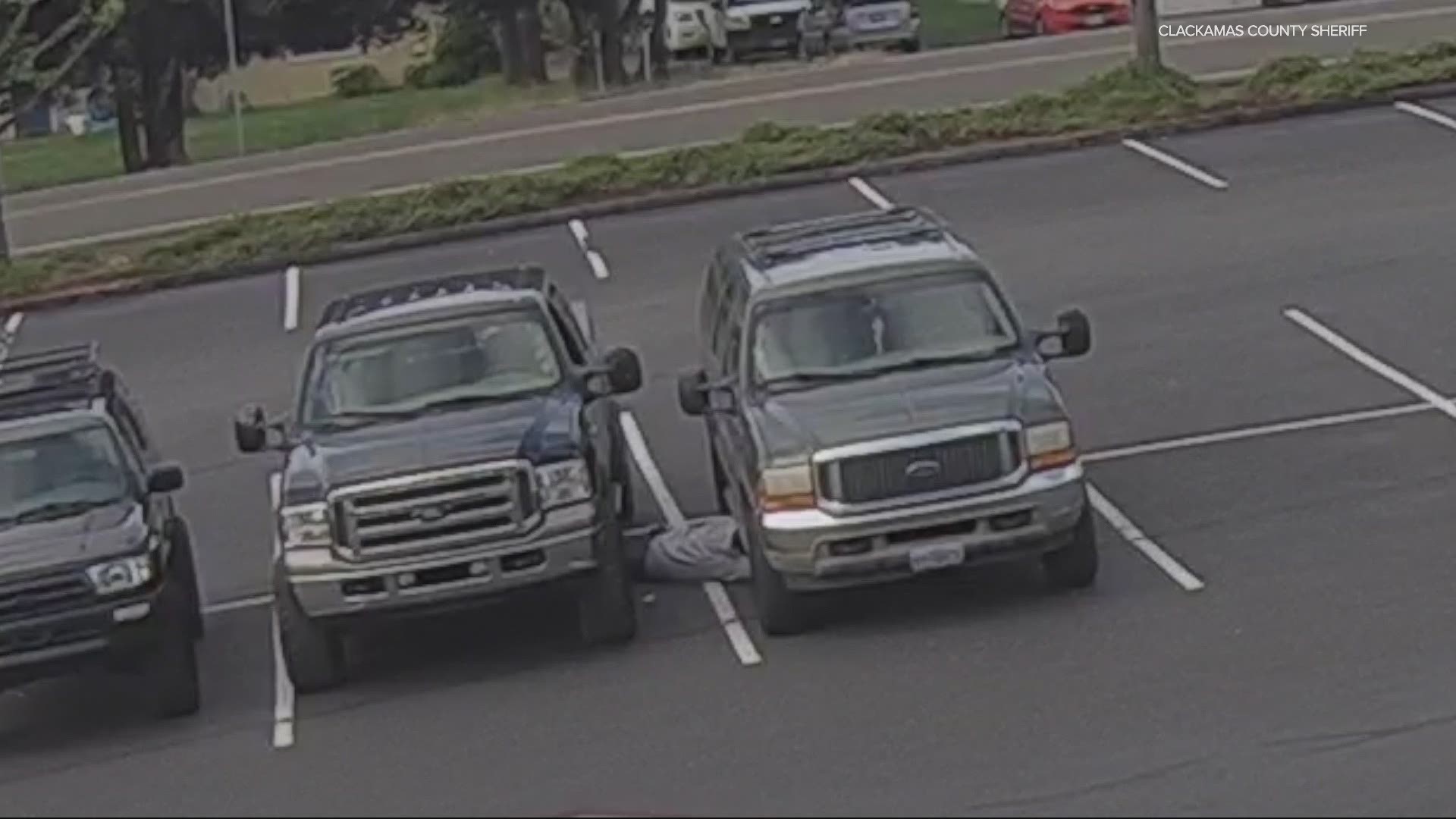 Security cameras happened to be rolling when two thieves pulled into a parking lot off South Leland Road in Beavercreek.