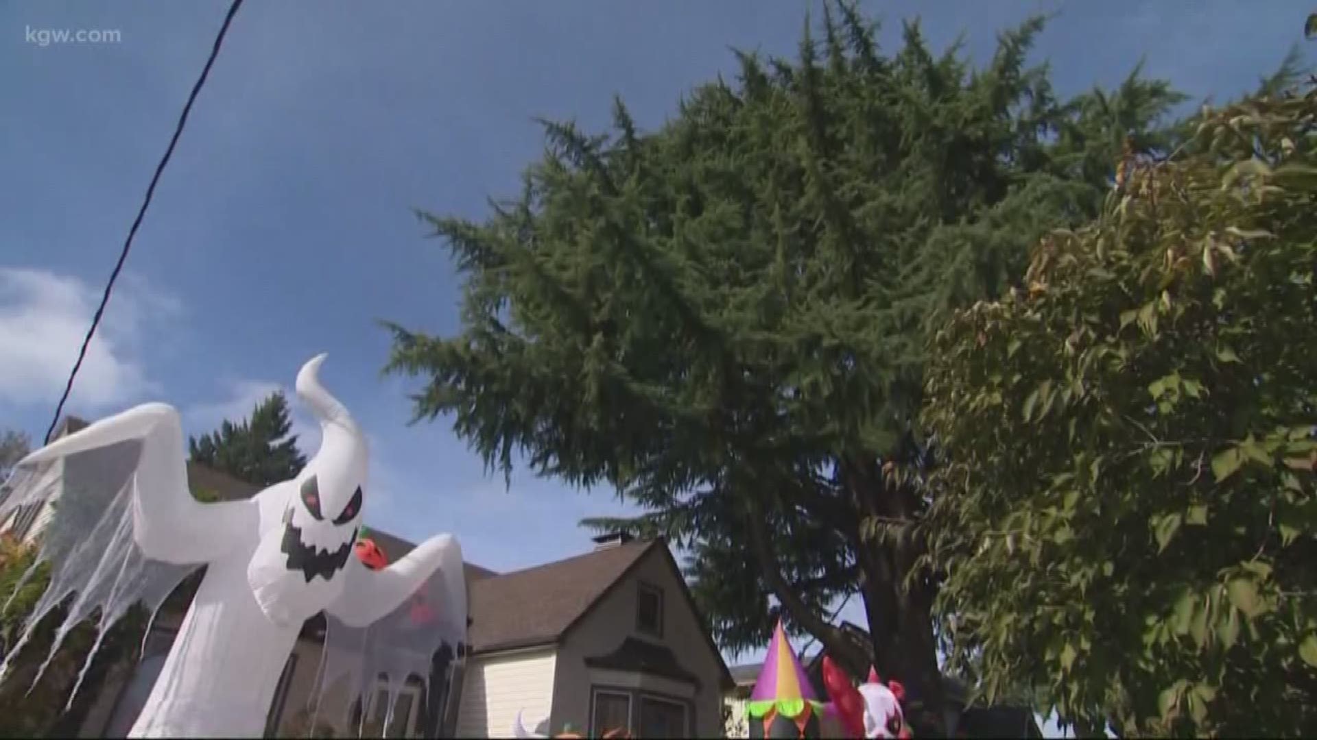 How to check for 'zombie trees' in your yard