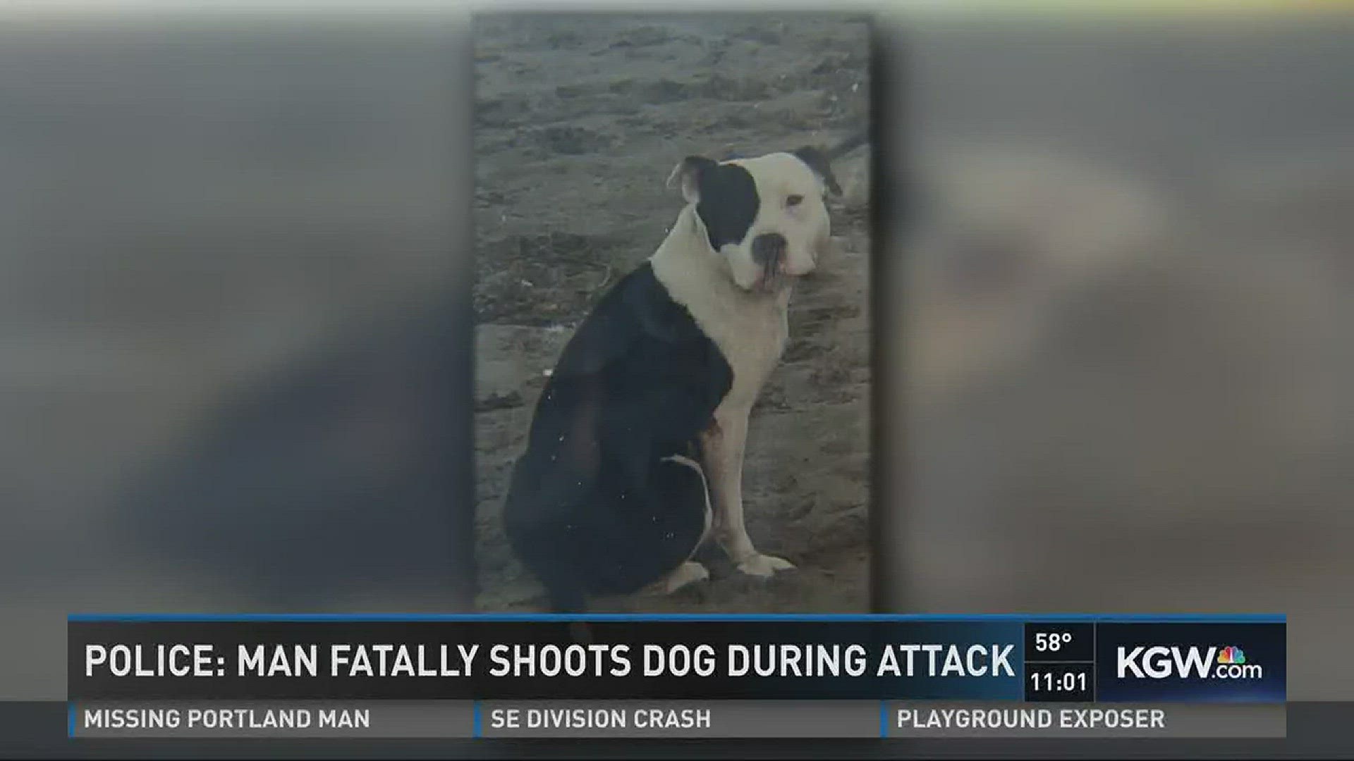 Police: Man fatally shoots dog during attack