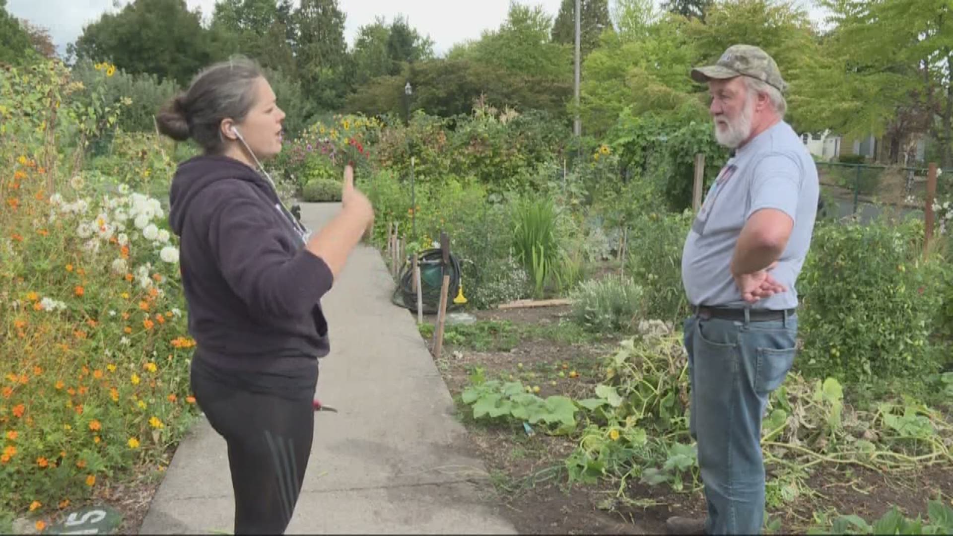 Garden thefts in a Portland community spark a homeless debate between neighbors.