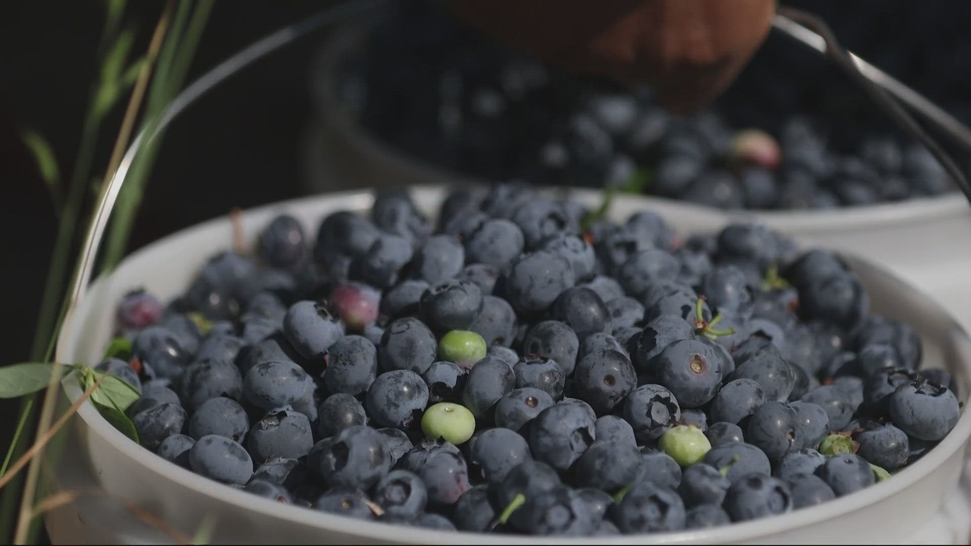 kgw.com - Joe Reedy (AP) - FCC seeks public comment as live sports shift from broadcast TV to streaming