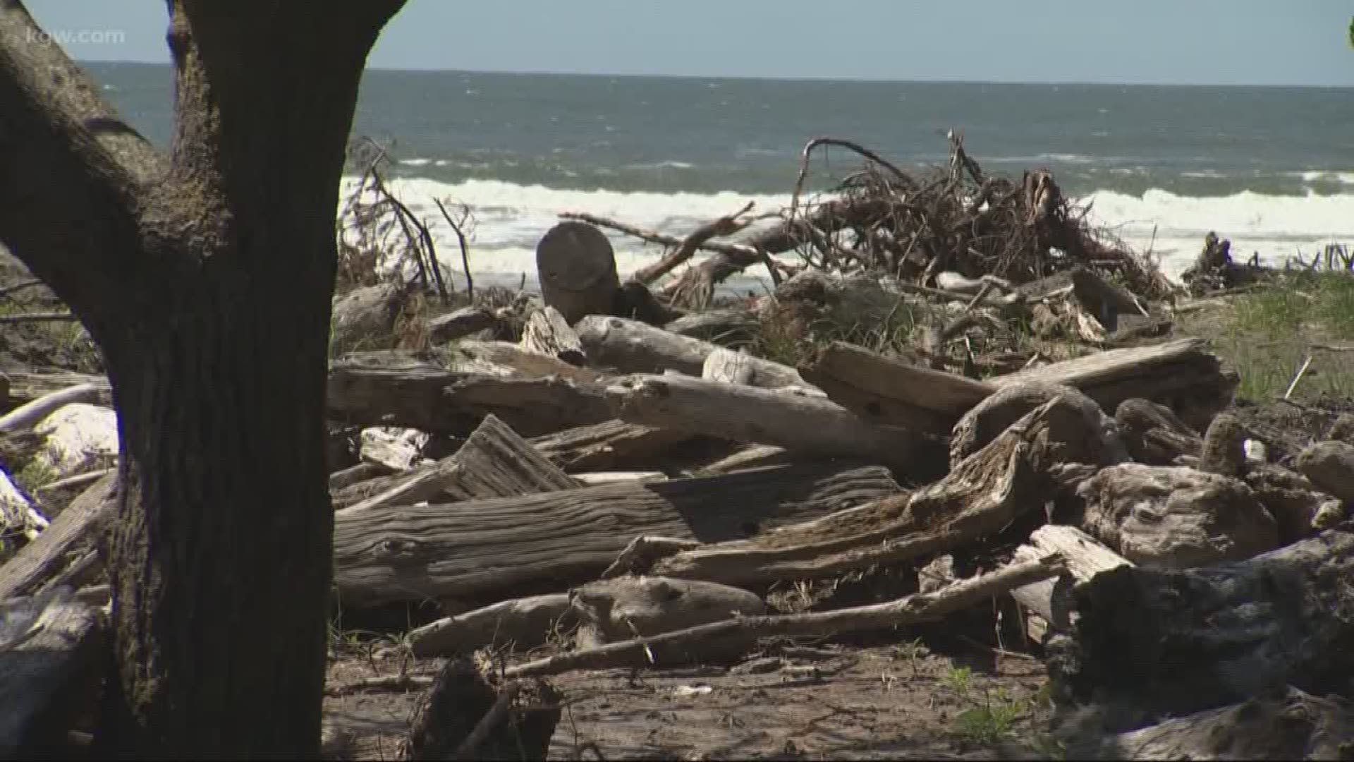 Storm Destroys Campsites At Cape Disappointment | Kgw.com