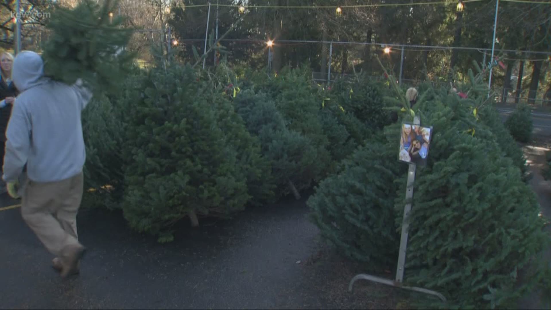 The Christmas tree shortage is affecting more than just buyers. How nonprofits are dealing with the lack of trees.