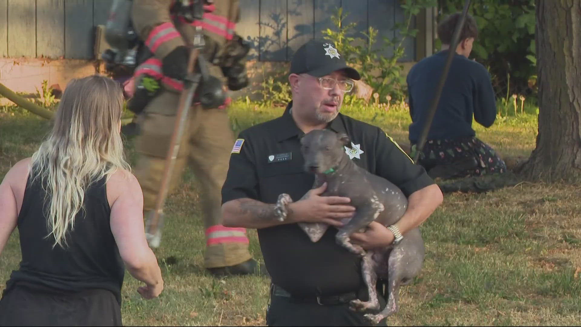 One dog dies, six rescued in North Portland house fire | kgw.com