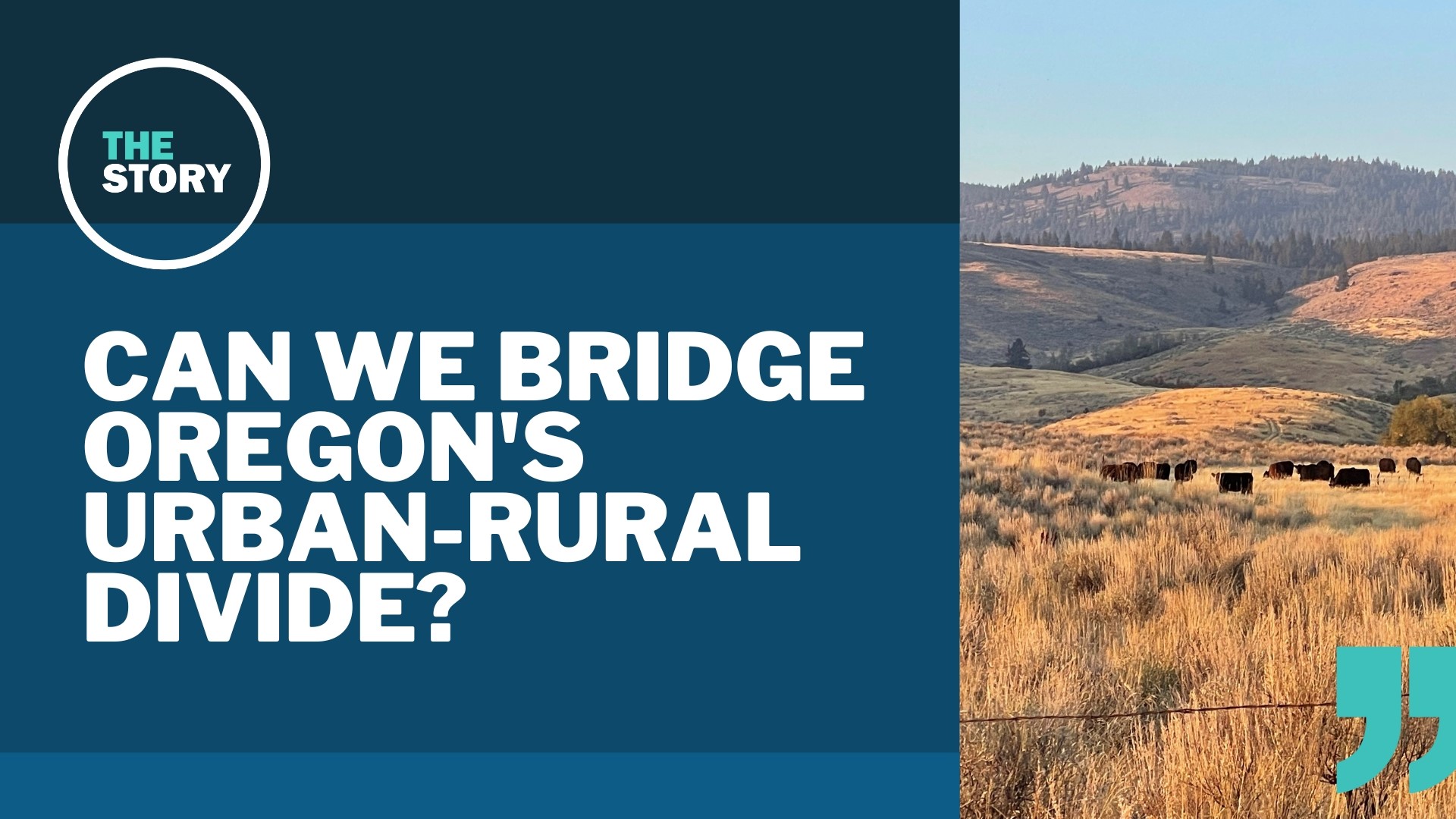 We’ve received a lot of suggestions for way that eastern Oregon could feel better represented. Some of them, however, wouldn’t fly in court.