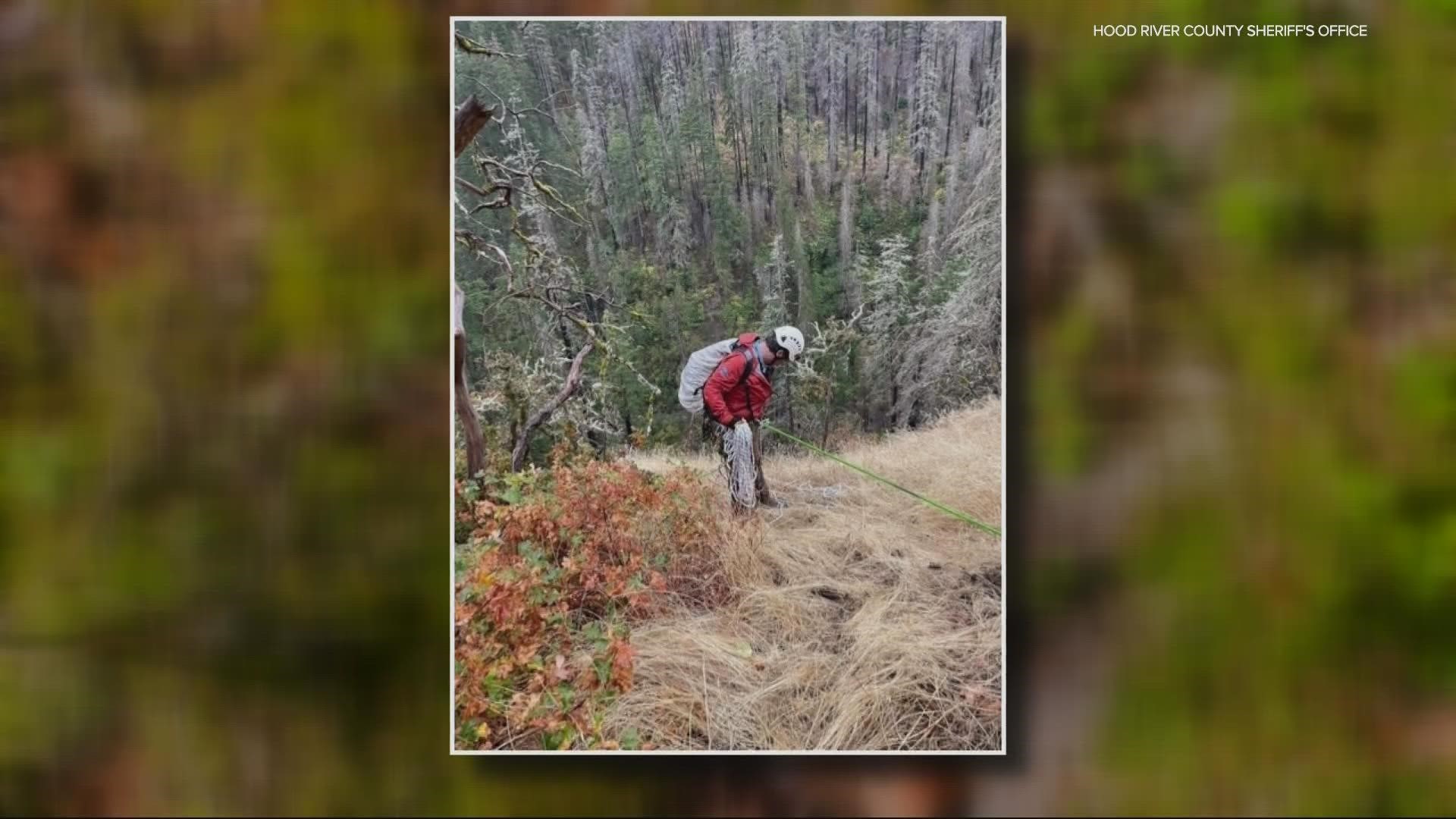 Search and rescue crews began searching for Nicholas Wells on Oct. 21 after his wife reported he didn't return home following a trail run on the Pacific Crest Trail.