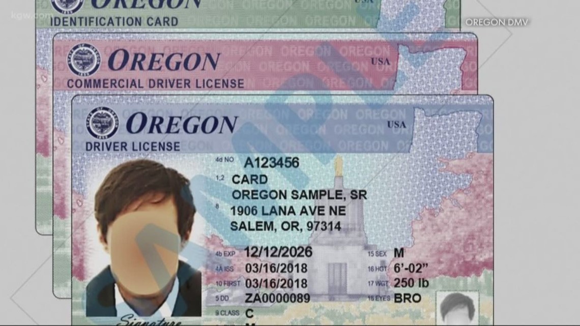 Bills Would Allow Drivers License ID Cards for the Undocumented / Public  News Service