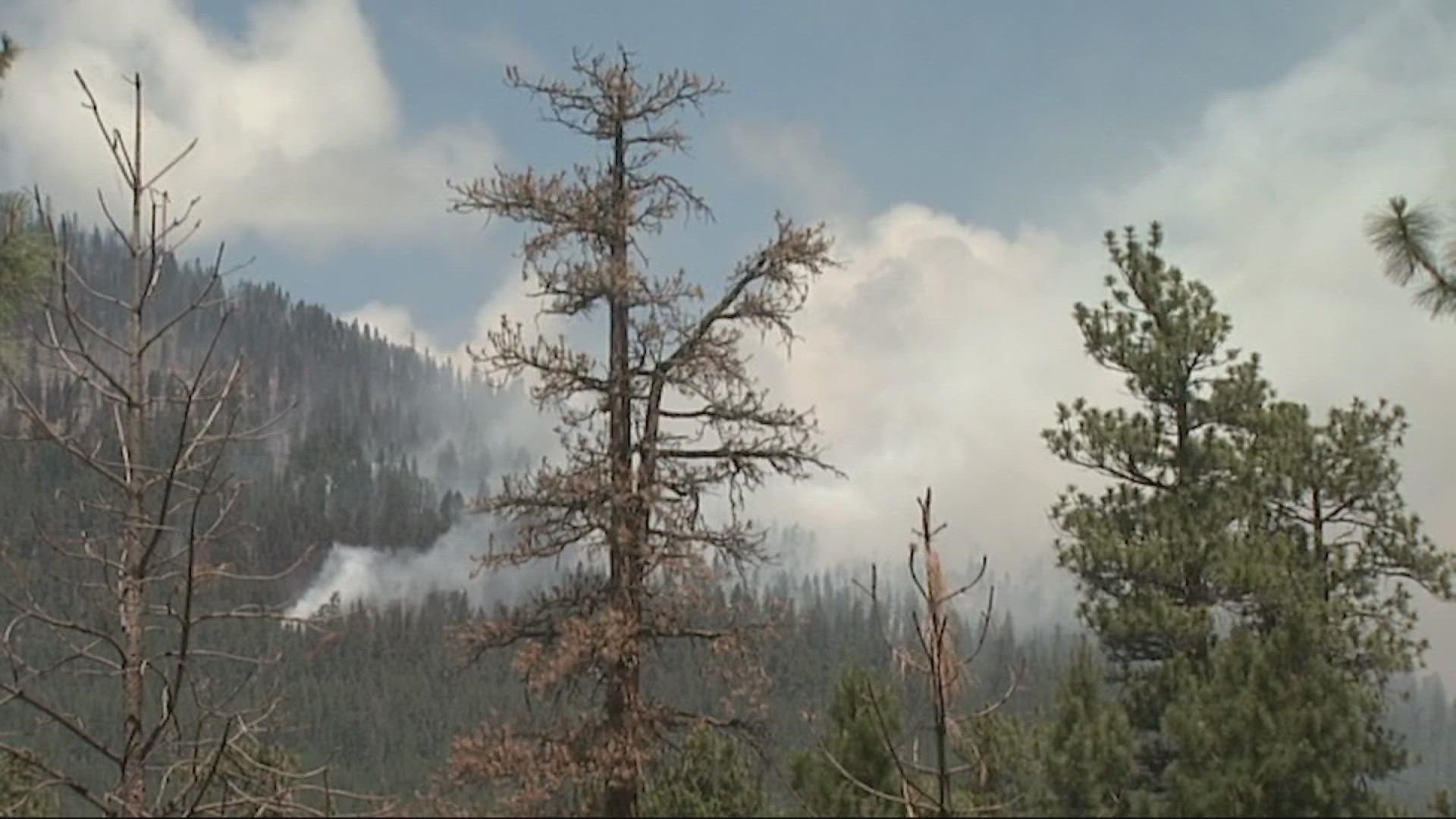 The Nakia Creek Fire is burning near Larch Mountain in a remote area of Clark County in Southwest Washington.