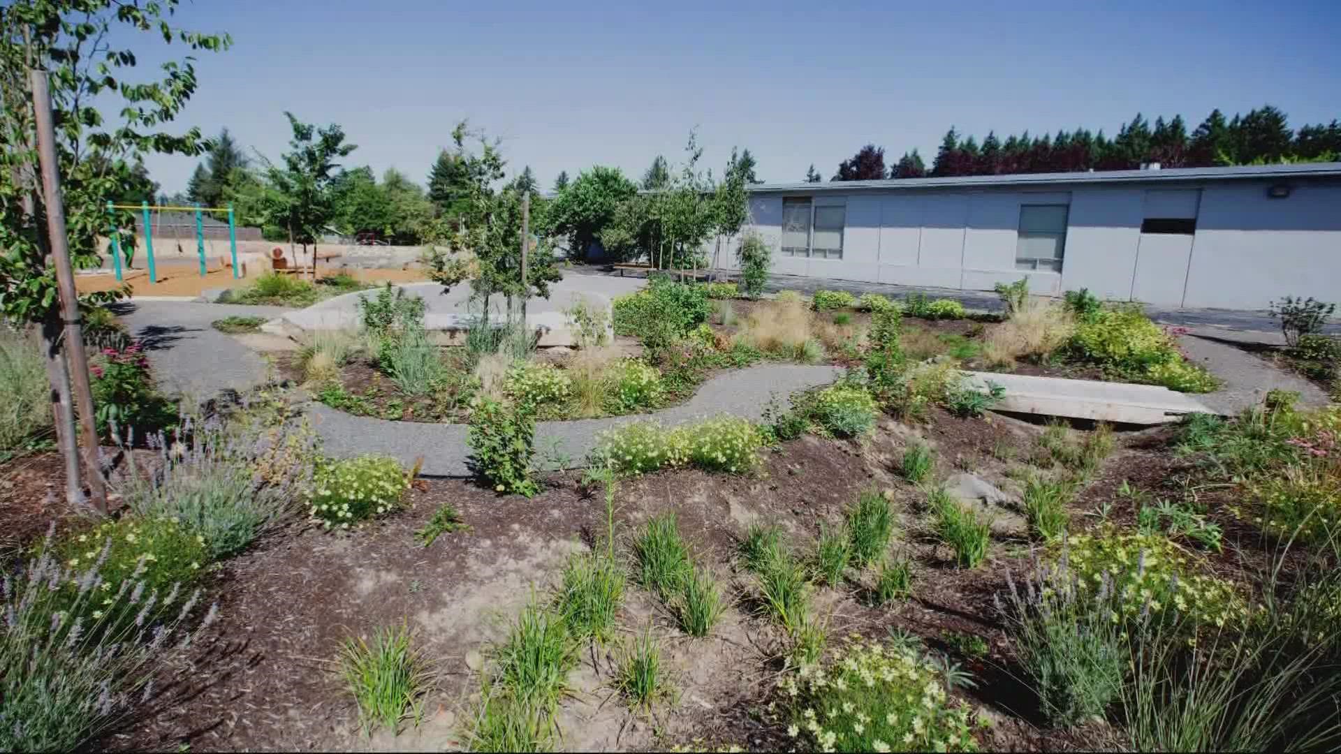 Earth Day Events In Portland Oregon This Weekend Kgw