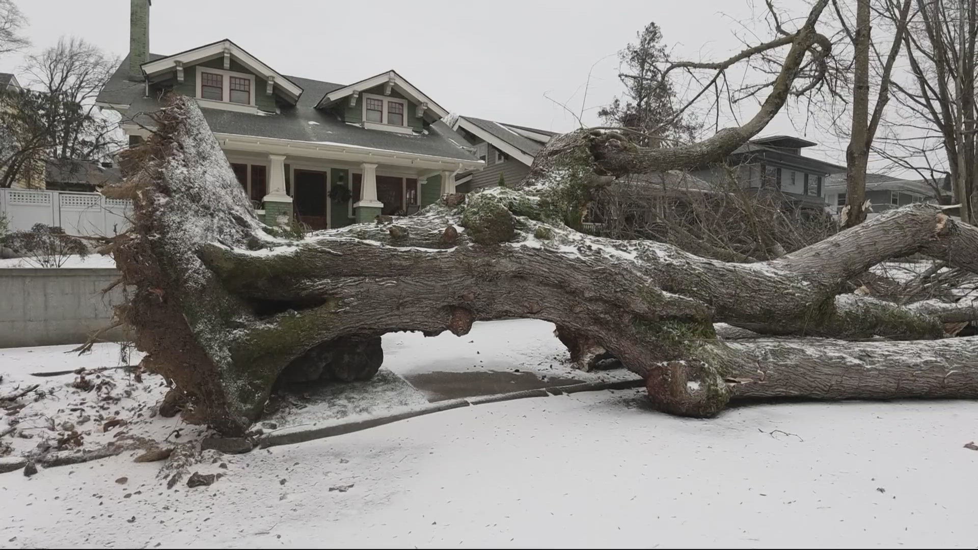 Downed trees have wreaked havoc on power lines, roads, vehicles and many homes amid strong, cold winds and precipitation.