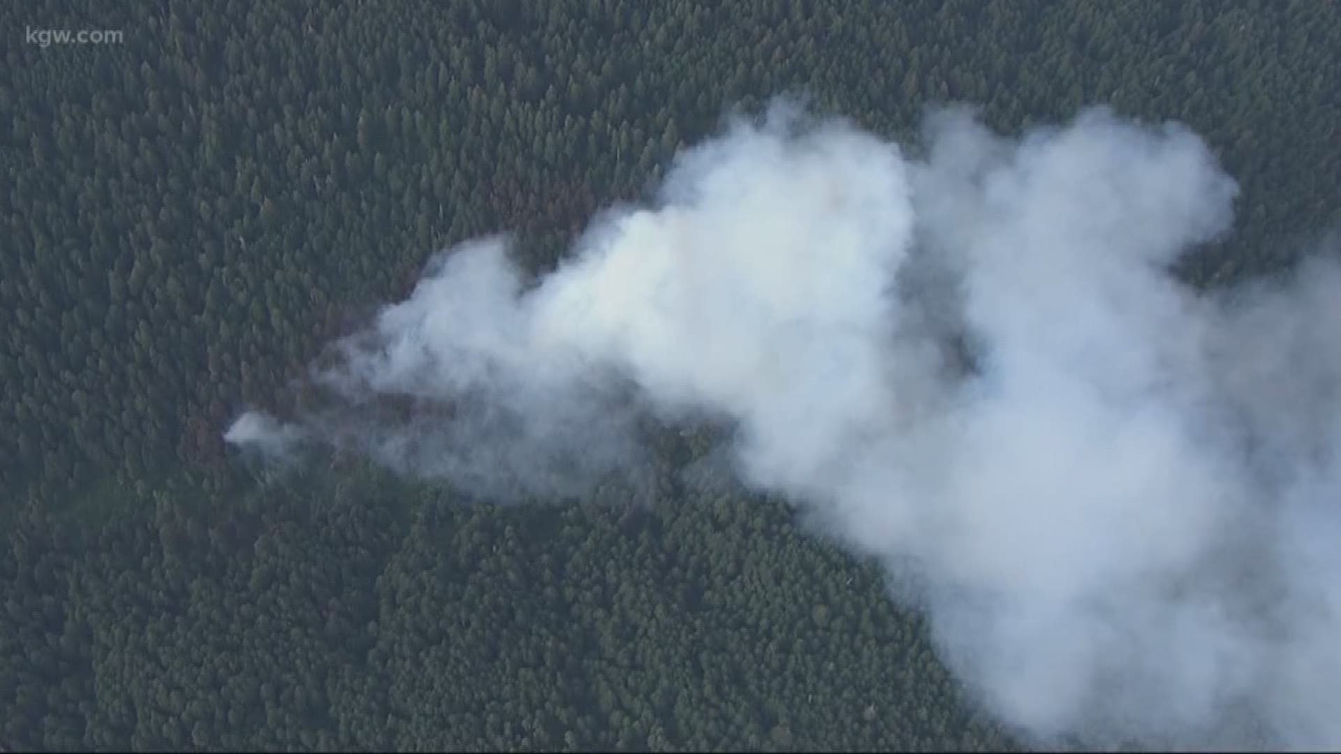 Fire breaks out at Silver Falls State Park