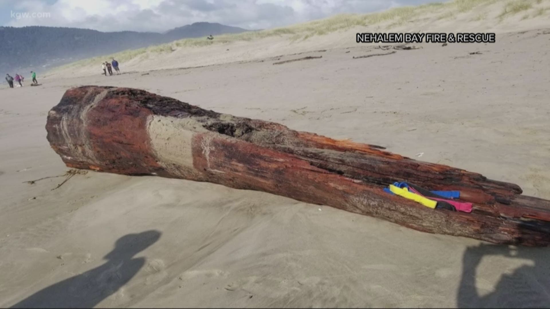 Log lifted by sneaker wave crushes woman at Nehalem Bay