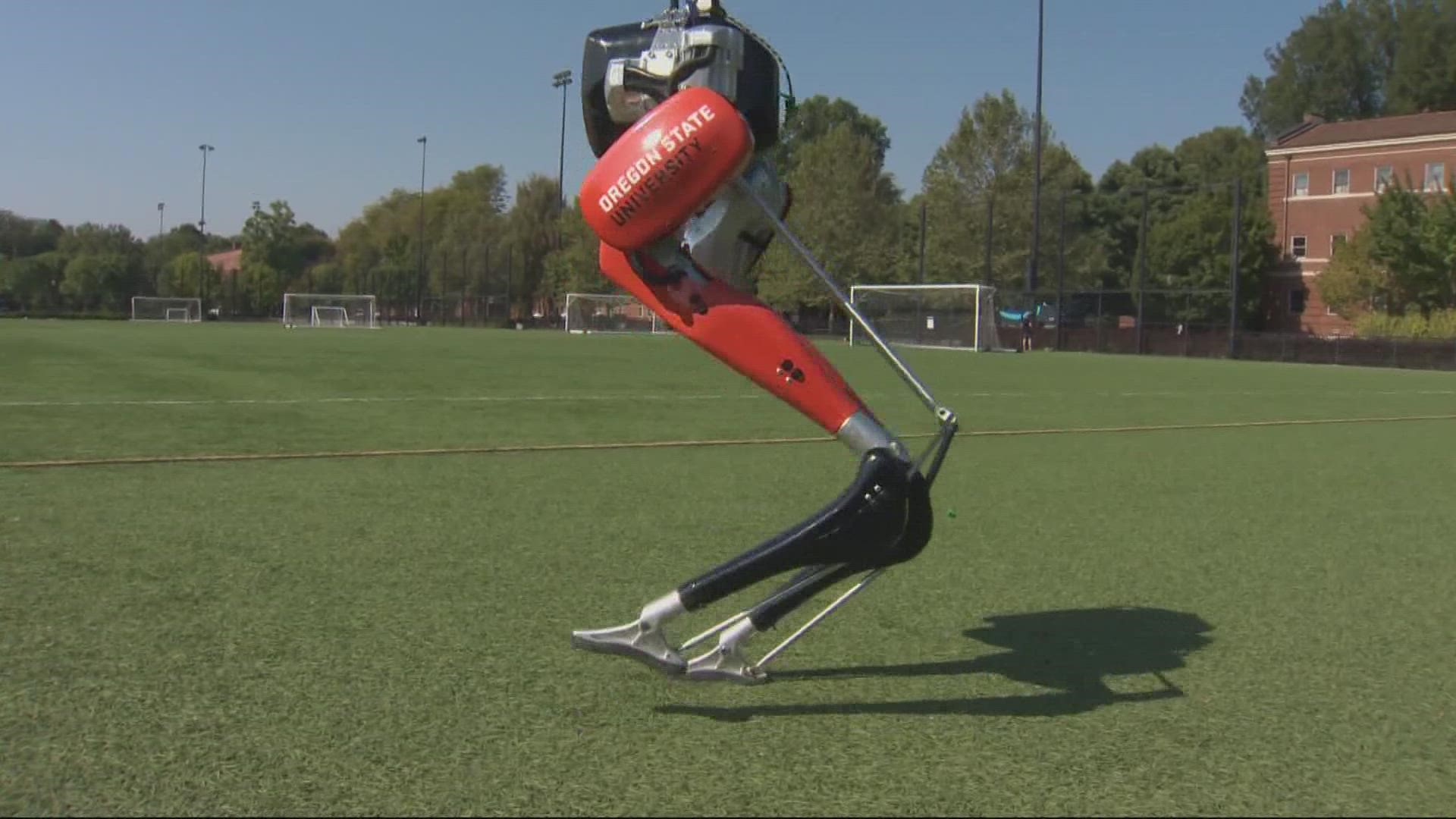A bipedal robot named Cassie developed by students in the engineering department at Oregon State University is now in the Guinness Book of World Records.